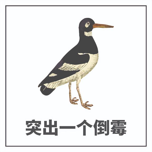 一般公司破產(chǎn)流程需要幾個月時間內(nèi)（一般公司破產(chǎn)流程需要幾個月時間清算）