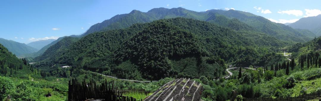 項(xiàng)目概況怎么寫(xiě)模板，項(xiàng)目概況怎么寫(xiě)模板ppt？