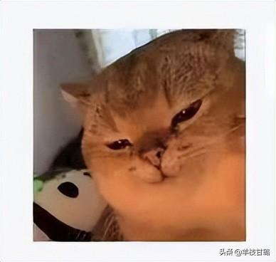 什么人躺著就能把錢賺了，有什么辦法躺著也可以賺錢呢？