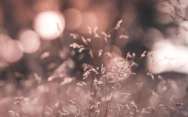女生發(fā)花朋友圈怎么說，女生發(fā)花朋友圈怎么說話？