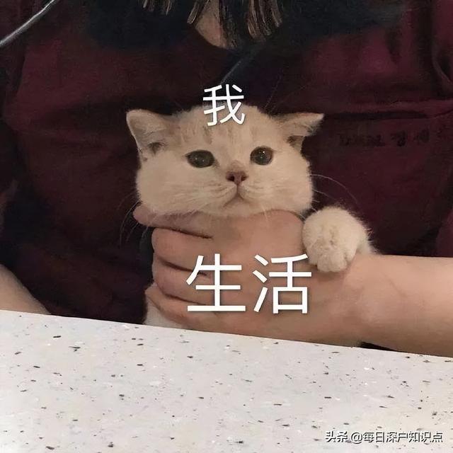 深圳女孩做什么工作掙錢最快（深圳怎樣賺錢快）