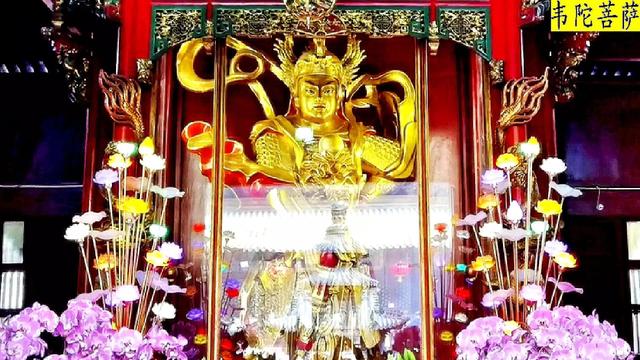 普陀山在哪里哪個(gè)省份哪個(gè)市（普陀山在哪個(gè)省哪個(gè)市）