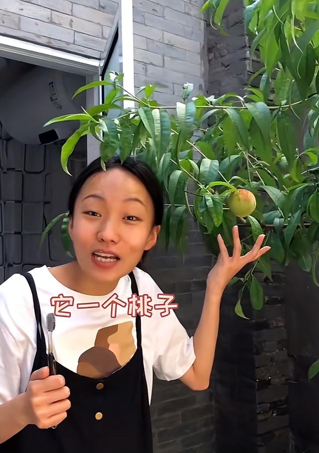 0萬粉絲的網(wǎng)紅收入有多少，十幾萬粉絲的網(wǎng)紅收入？"