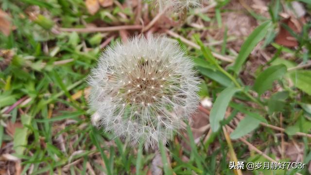 快看點注冊自媒體怎么發(fā)視頻賺錢快看點，快看點怎么發(fā)布視頻怎么掙錢？