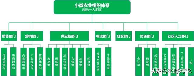 企業(yè)組織架構(gòu)圖模板怎么做（企業(yè)組織架構(gòu)圖模板word）