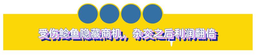 閑魚魚塘在哪里找（2021閑魚魚塘在哪里找）