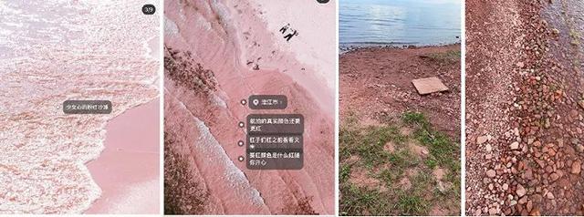 怎么能復(fù)制小紅書(shū)的文案（蘋(píng)果怎么復(fù)制小紅書(shū)的文案）