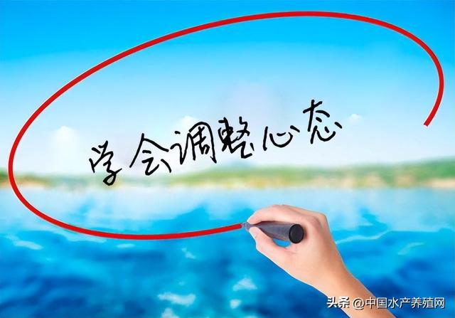 養(yǎng)殖黃骨魚掙錢嗎，黃骨魚養(yǎng)殖利潤？