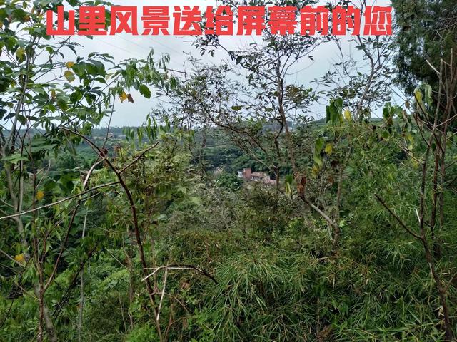 朋友圈封了,怎么解封，有沒有幫解封朋友圈的？