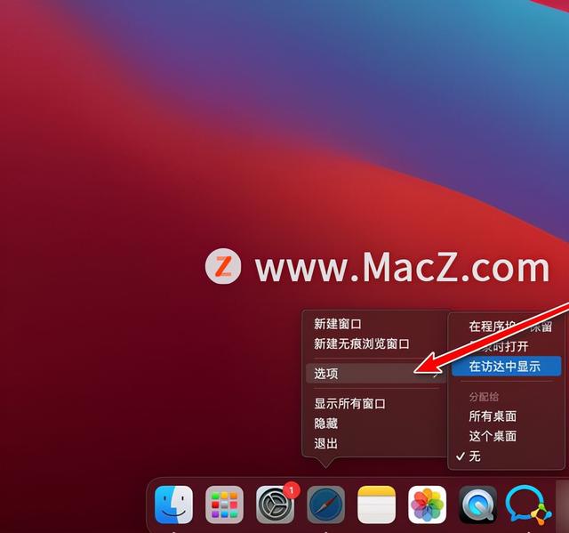 iwatch程序塢是什么意思（蘋果程序塢是什么意思）