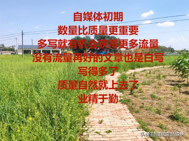 什么時間段發(fā)表的抖音瀏覽量高，抖音什么時候發(fā)瀏覽量多？