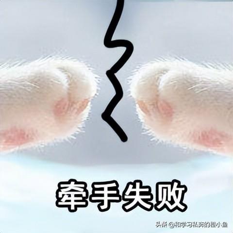 系統(tǒng)集成項目管理師電子版，系統(tǒng)集成項目管理工程師教程pdf