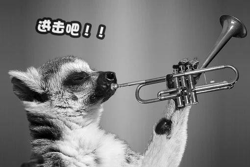 用QQ登錄可以賺q幣的軟件下載（什么軟件可以賺q幣又可以用QQ登錄的下載）