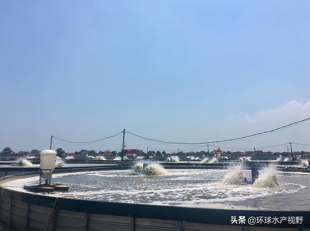 最暴利的水產(chǎn)養(yǎng)殖（水產(chǎn)門市的利潤(rùn)大嗎）