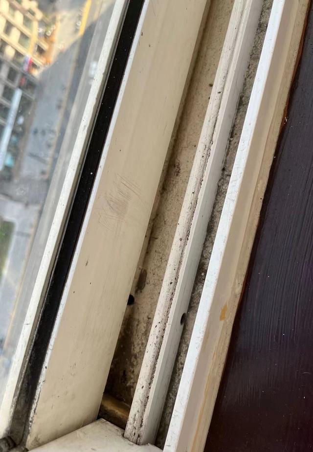 請保姆哪個平臺比較好一點（請保姆哪個平臺比較好找）