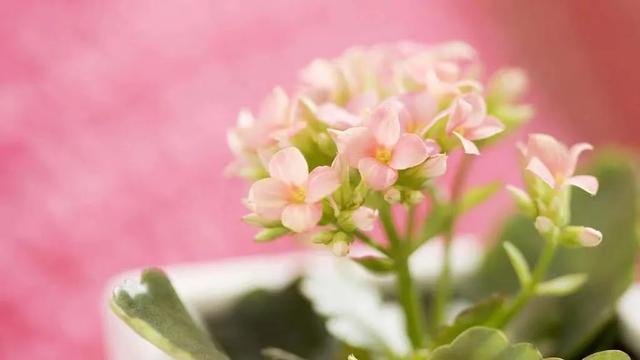 如何在公眾號(hào)發(fā)布文章賺錢(qián)，如何在公眾號(hào)里發(fā)表文章？