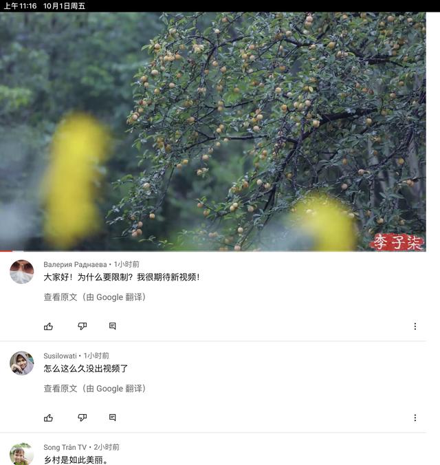 李子柒創(chuàng)業(yè)成功的個人因素，李子柒盈利模式分析？