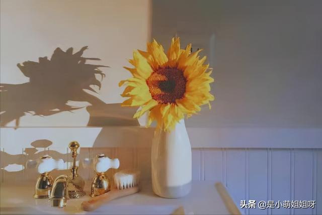 賺錢(qián)好難啊txt（賺錢(qián)真的好難哦百度網(wǎng)盤(pán)txt下載）