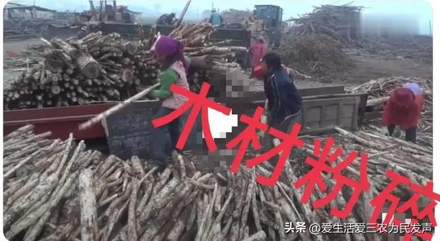 在農(nóng)村鄉(xiāng)鎮(zhèn)做什么能賺到錢呢（農(nóng)村鄉(xiāng)鎮(zhèn)干什么能賺錢）
