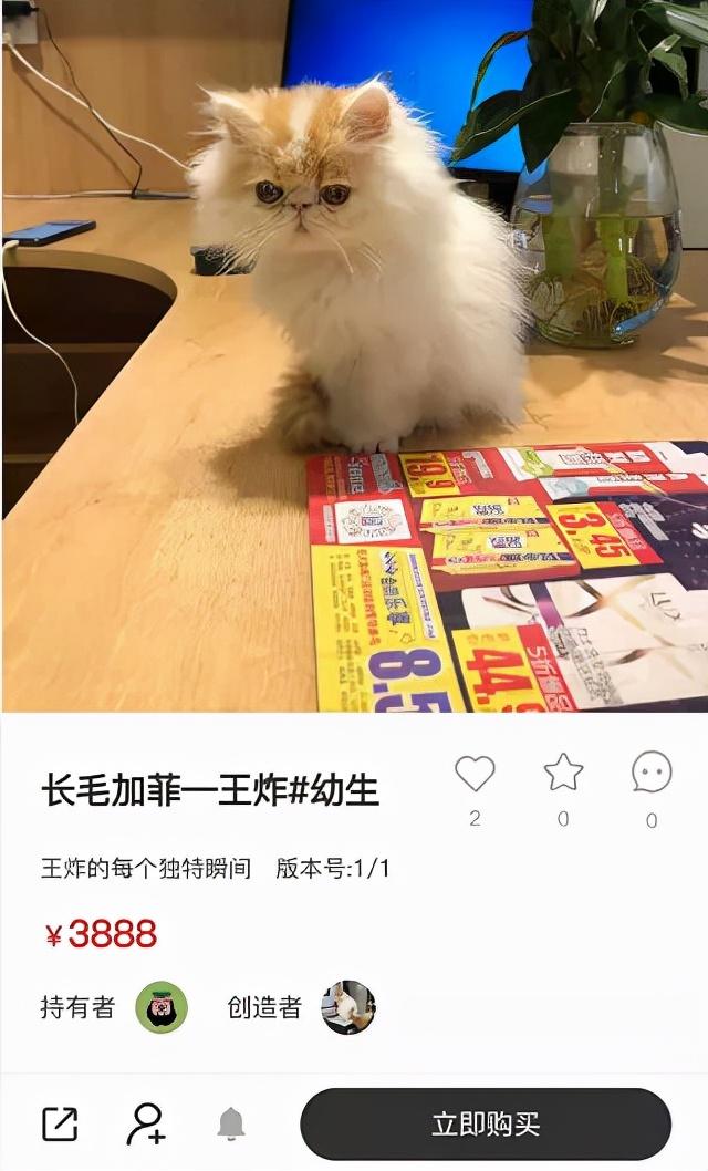 可以畫畫賺錢的軟件下載，可以畫畫賺錢的軟件學(xué)生黨？