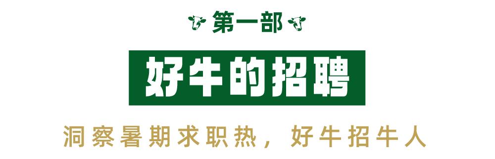 廣告牛南通分公司孫杰，廣告牛南通分公司員工