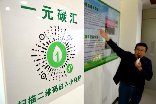 碳匯林項目合法嗎，碳匯林項目是怎么回事？