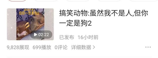 西瓜展現(xiàn)量和播放量的區(qū)別（西瓜視頻展現(xiàn)量和播放量的區(qū)別）