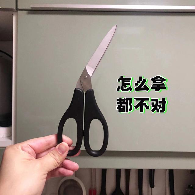 淘寶好玩到極點(diǎn)的東西是真的嗎（淘寶好玩到極點(diǎn)的東西有哪些）