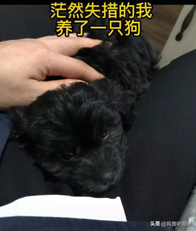 沒錢走投無路怎樣創(chuàng)業(yè)呢，沒錢走投無路怎樣創(chuàng)業(yè)呢知乎？