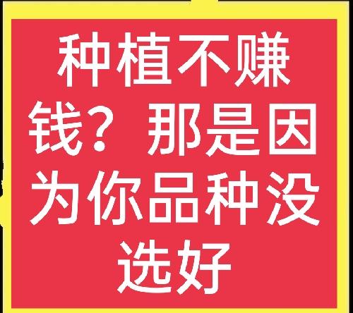 未來幾年農村種植什么掙錢（未來農村種植什么前景好）