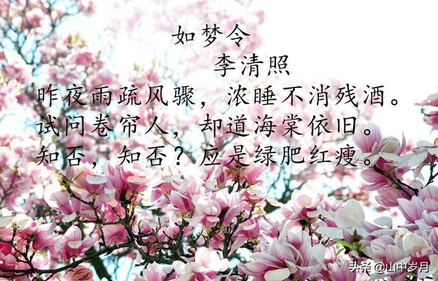 桃花的別稱雅稱有哪些（桃花的雅稱是什么）