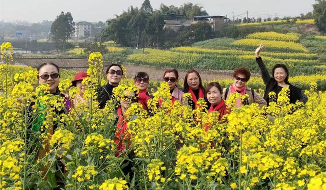七朵蓮花足道正規(guī)嗎（七朵蓮花足道公司簡介）