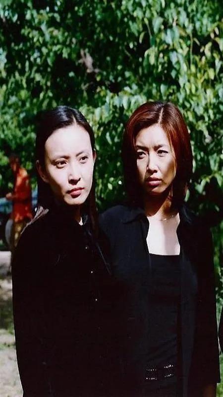 土匪類的電視劇大全（有關(guān)土匪的電視劇有哪些）
