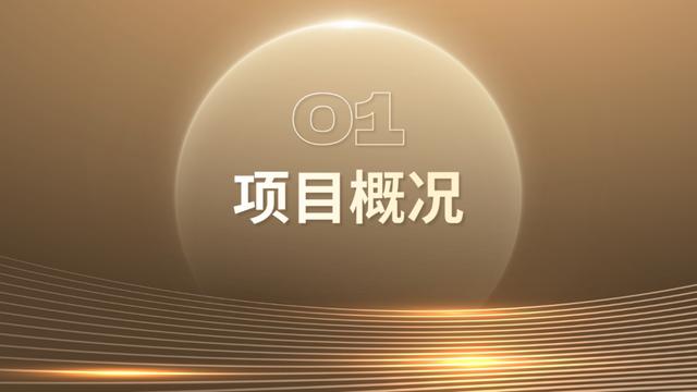 學(xué)生做ppt賺錢去哪個(gè)平臺（做ppt賺錢去哪個(gè)平臺賺得多少錢）