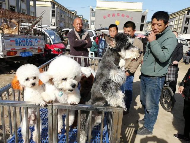 未來(lái)農(nóng)村賺錢(qián)的行業(yè)排行榜（未來(lái)農(nóng)村最賺錢(qián)的行業(yè)）