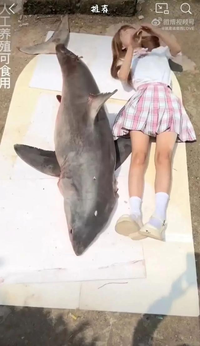 抖音網(wǎng)紅莉哥怎么了到底，抖音女網(wǎng)紅莉哥怎么了？