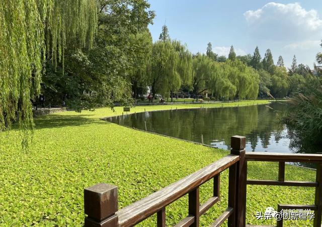 創(chuàng)新創(chuàng)業(yè)課程心得800字（創(chuàng)新創(chuàng)業(yè)課程的收獲與感悟1500字）