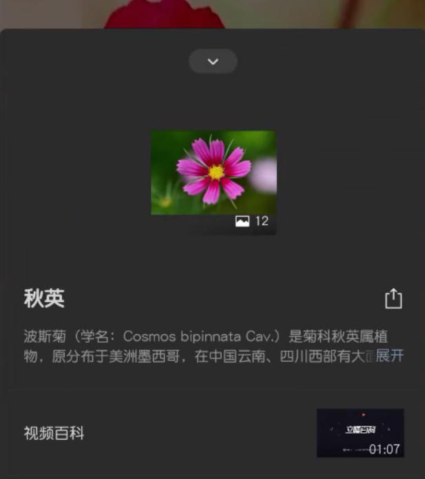 微信發(fā)朋友圈照片怎么保持原畫(huà)質(zhì)，微信發(fā)朋友圈照片怎么保持原畫(huà)質(zhì)不變？