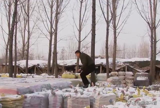 現(xiàn)在做什么中間商賺錢（中間商賺錢快嗎）