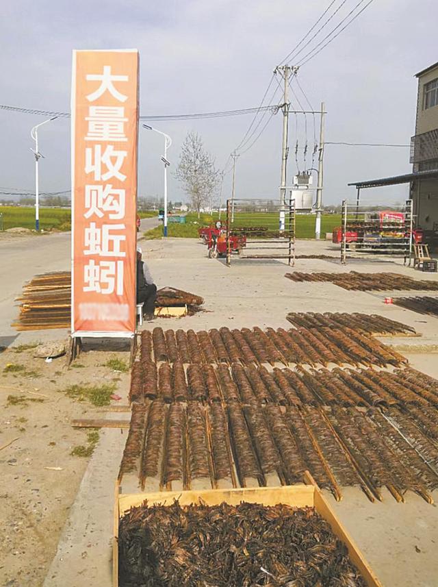 灰色行業(yè)推廣渠道，灰色推廣引流渠道？