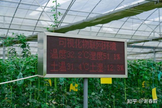 創(chuàng)業(yè)項(xiàng)目方向有哪些（創(chuàng)業(yè)行業(yè)方向）