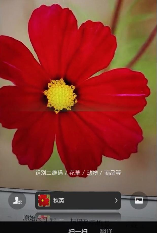 微信發(fā)朋友圈照片怎么保持原畫(huà)質(zhì)，微信發(fā)朋友圈照片怎么保持原畫(huà)質(zhì)不變？