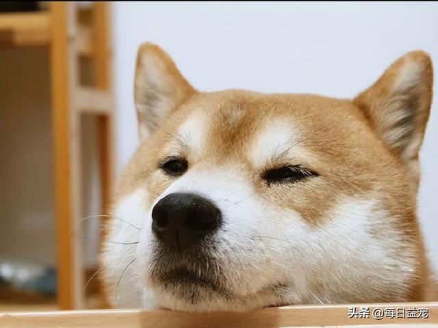 抖音上那個喝酒的視頻搞笑叫什么來著，抖音上那個喝酒的視頻搞笑叫什么名字？