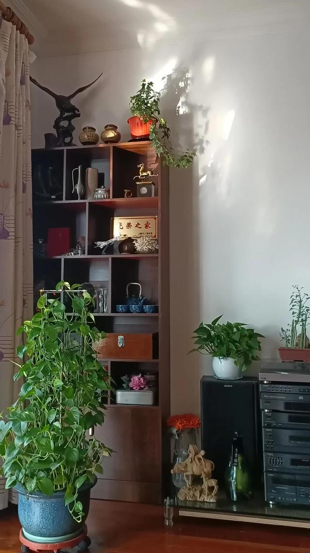 會聲會影素材庫（會聲會影素材下載）