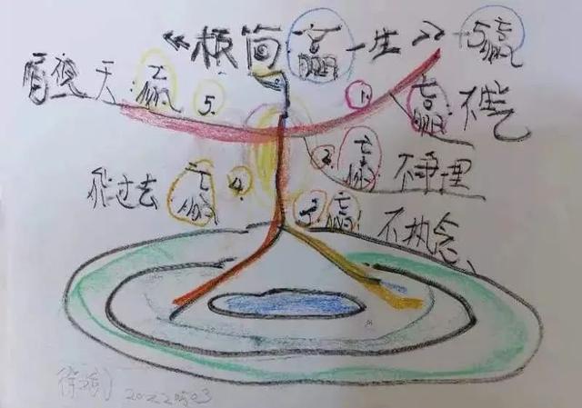 思維導(dǎo)圖開發(fā)左腦還是右腦視頻（思維導(dǎo)圖是左腦還是右腦）
