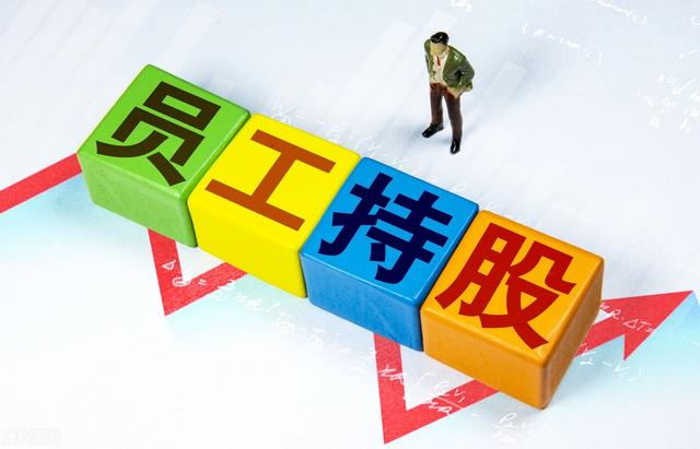 持股平臺和員工直接持股的利弊（持股平臺股權(quán)激勵）