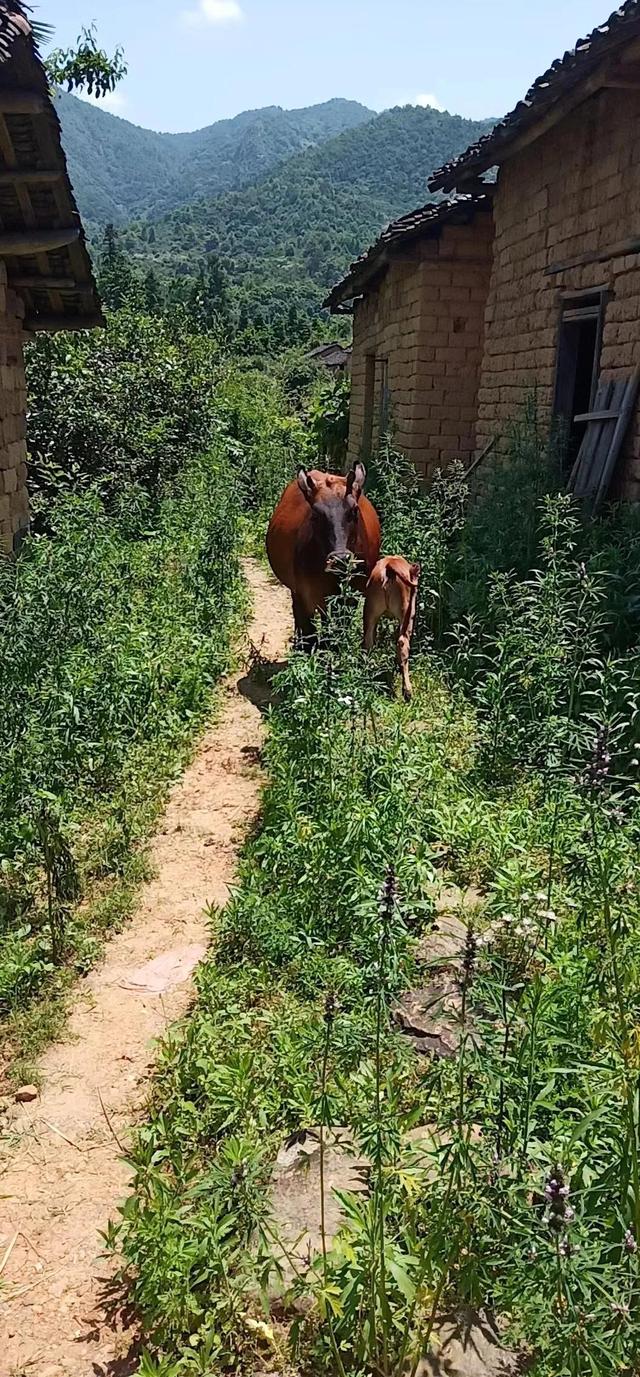 分鐘情景短劇劇本6人（情景劇劇本）"