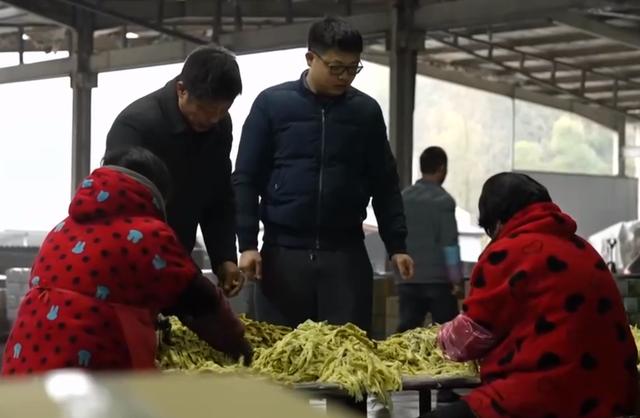最適合打工還債的工作（女的做還債好還是討債好）