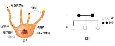 瘋狂賞金賺錢app下載蘋果手機（瘋狂賞金賺錢app下載新量象）