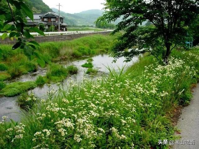 龍蝦發(fā)朋友圈怎么發(fā)，賣龍蝦發(fā)朋友圈怎么說？